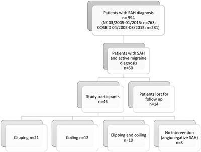 Course of Preexisting Migraine Following Spontaneous Subarachnoid Hemorrhage